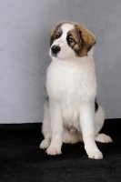 /album/vulcan-boss-tor/dsc-6067-kopie-jpg/